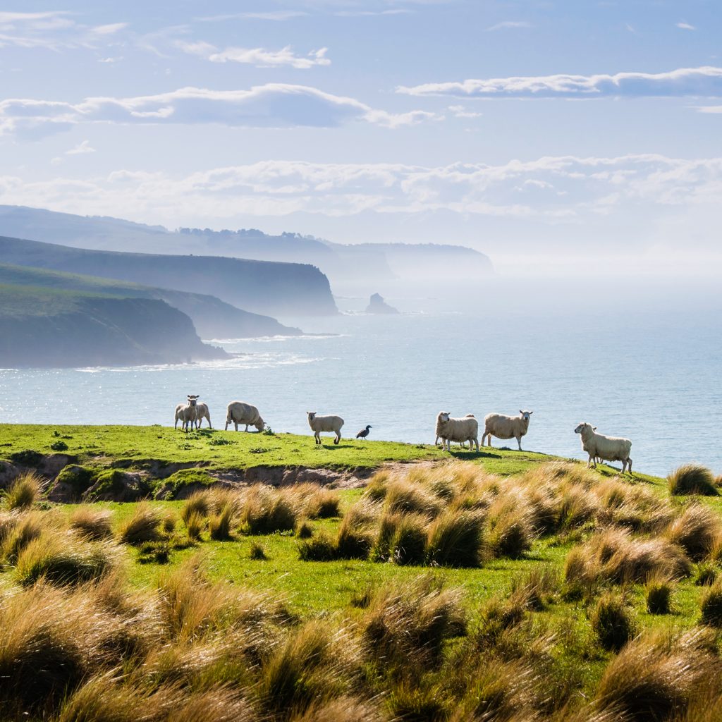 16 Day Escorted Ultimate Explorer Tour Tour operated by Grand Pacific Tours Uniquely New Zealand