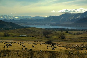 new zealand tour from melbourne