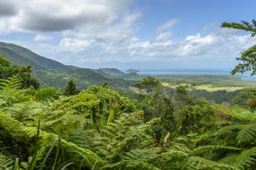 new zealand tour from melbourne